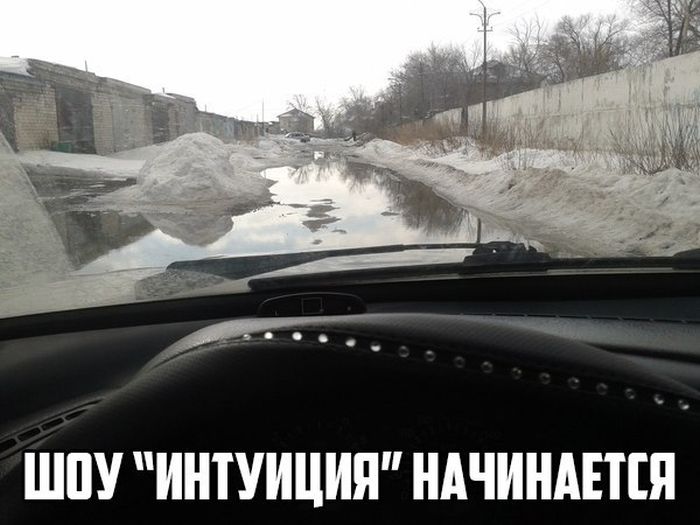 Шоу "Интуиция"