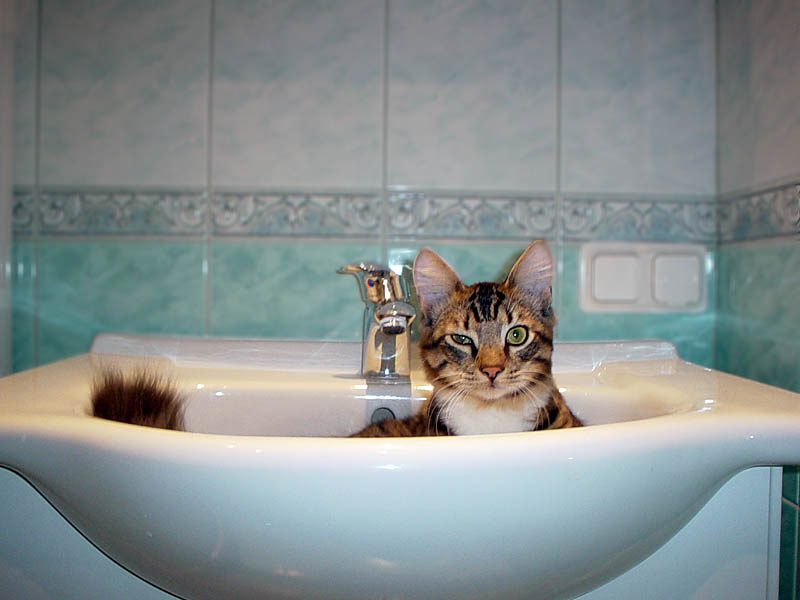 отделка ванных комнат плиткой  т.646555