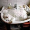 И где только не окажешься субботним утром..