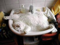 И где только не окажешься субботним утром..