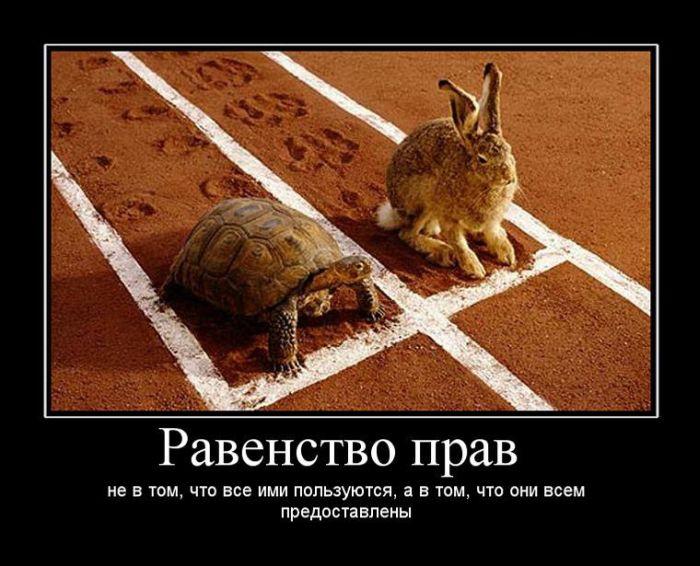 Равенство прав