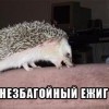 незбагойный йожыг)))))