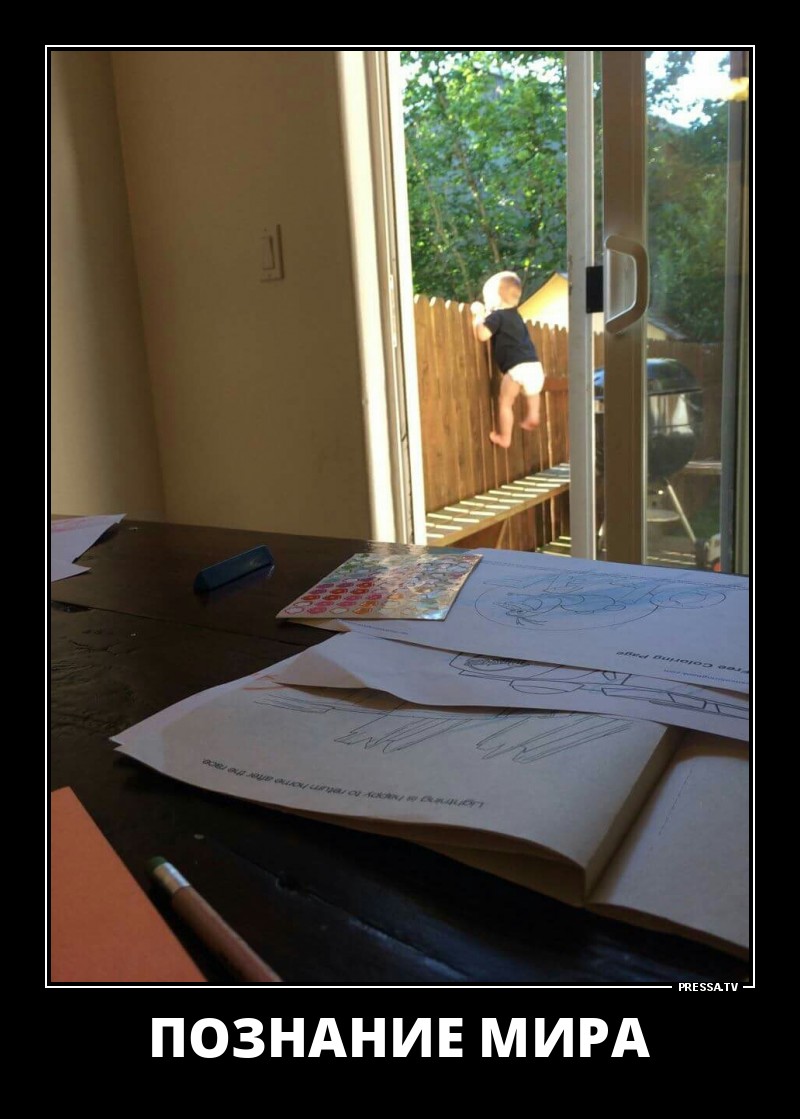 Познание мира