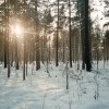 Где-то за водохранилищем еловским Где-то за водохранилищем еловским