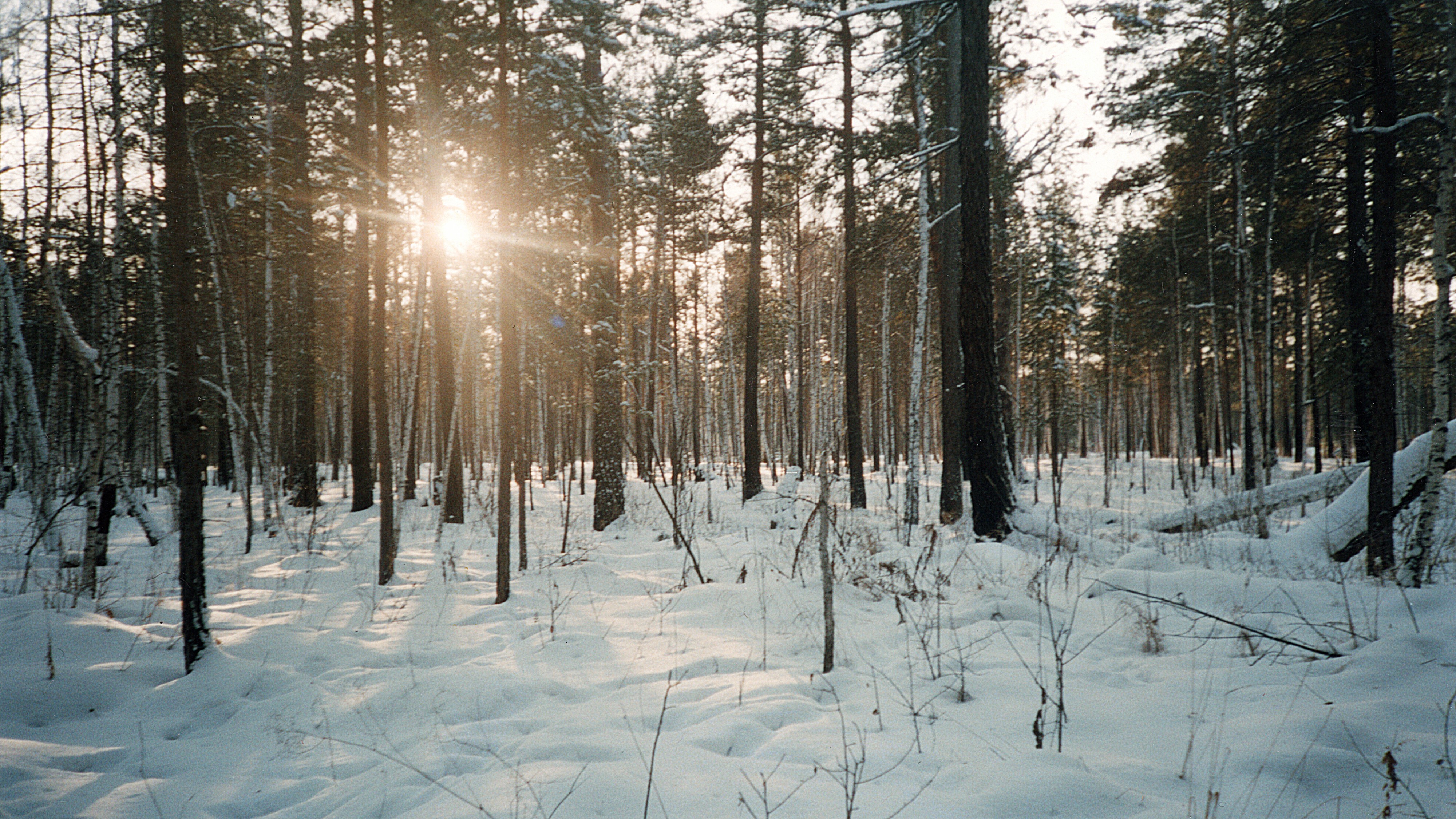 Где-то за водохранилищем еловским