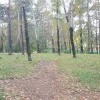 211й