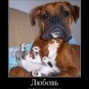 Любовь Любовь