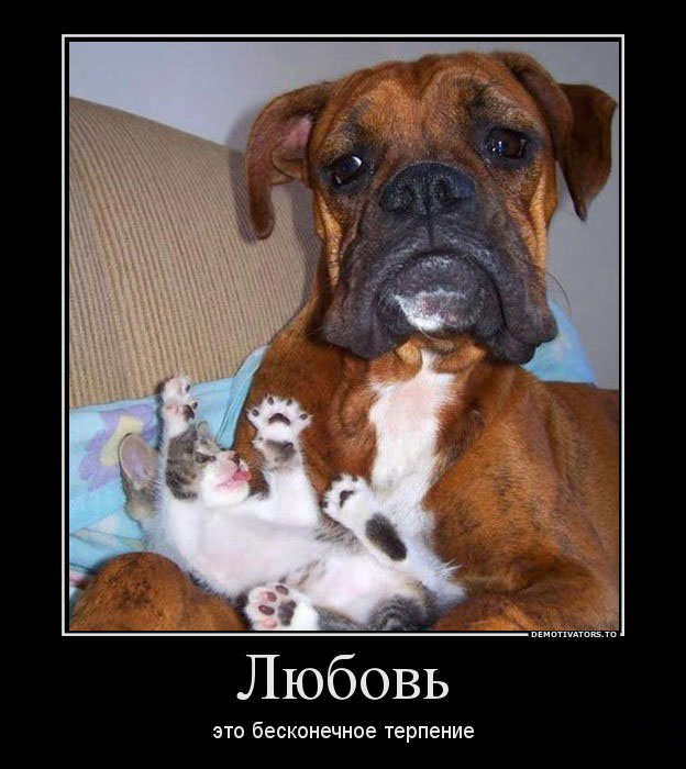 Любовь