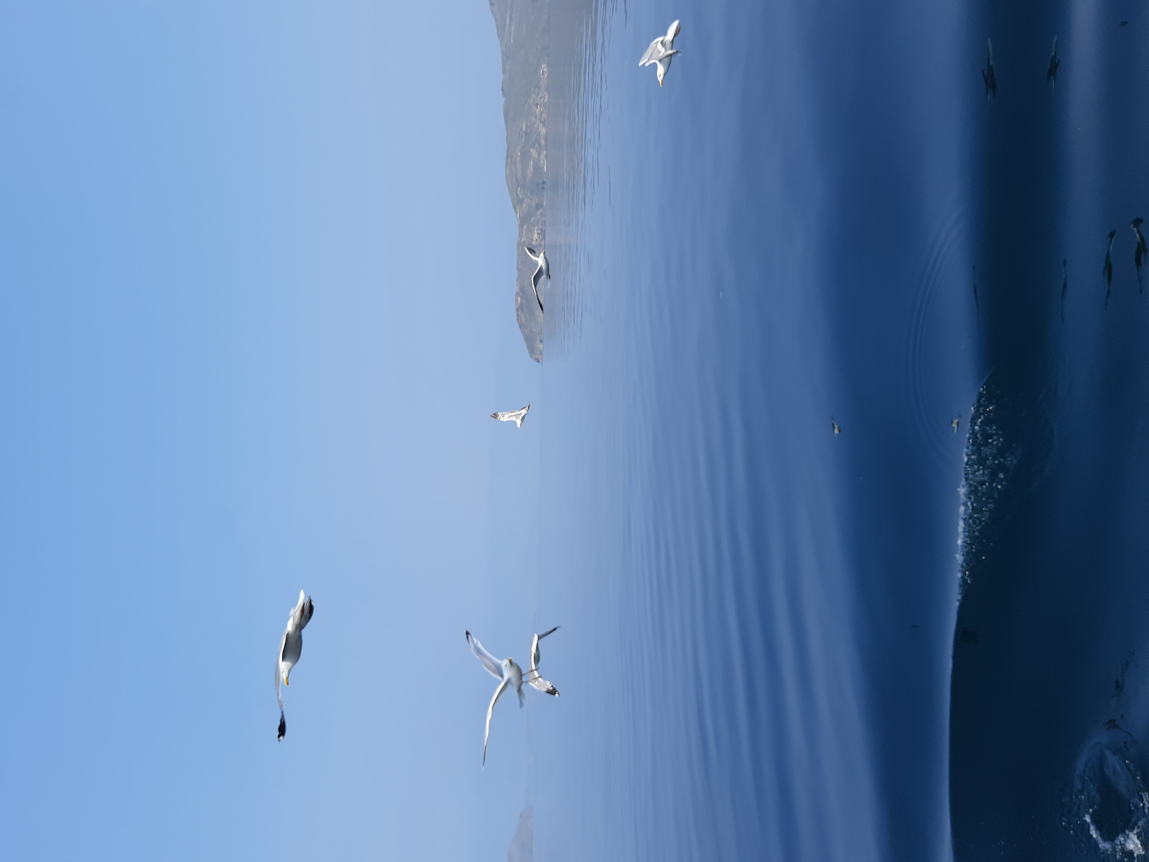 Призрачный Байкал 