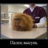 палец высунь!