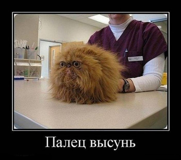 палец высунь!