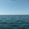 IMG 4178
