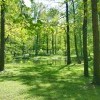 Моё, Санкт-Петербург, город, хорошо