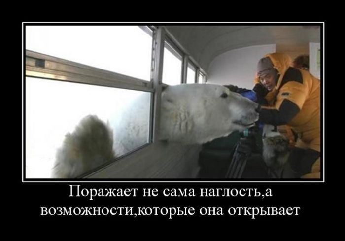 Наглость и возможности.