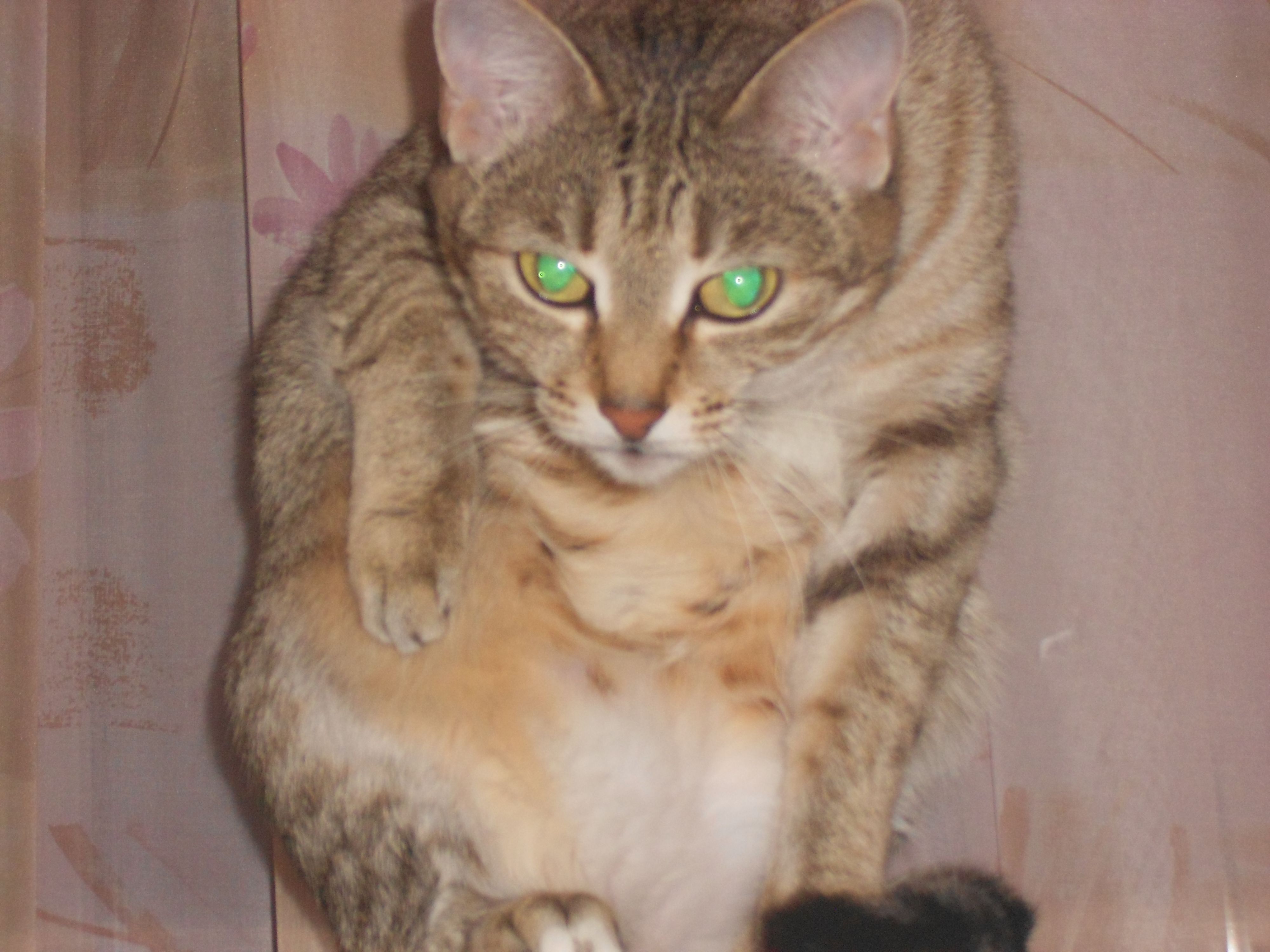 DSCN0334