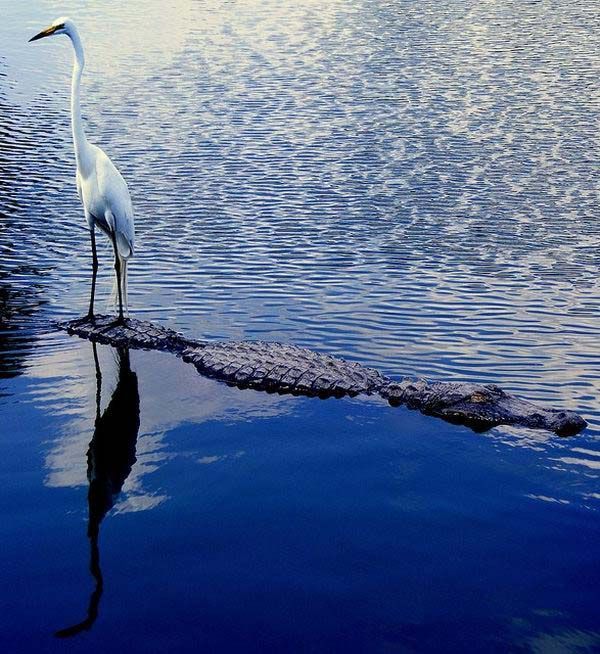 Просто красиво...