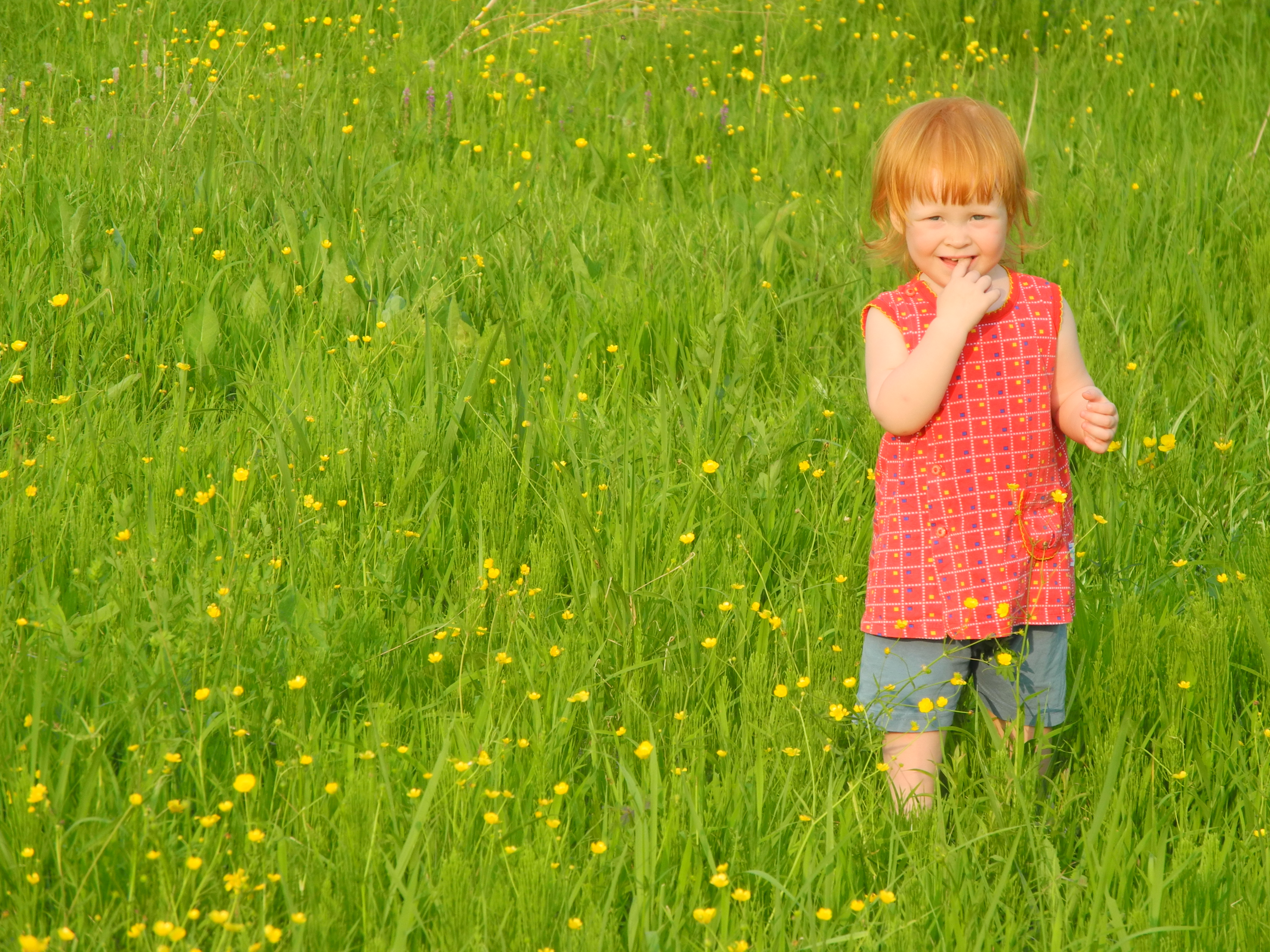 Рыжая.. просто рыжая)