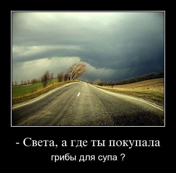 Грибы...для супа