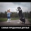 Самые преданные друзья Самые преданные друзья