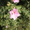 IMG 4061
