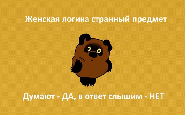 Женская логика