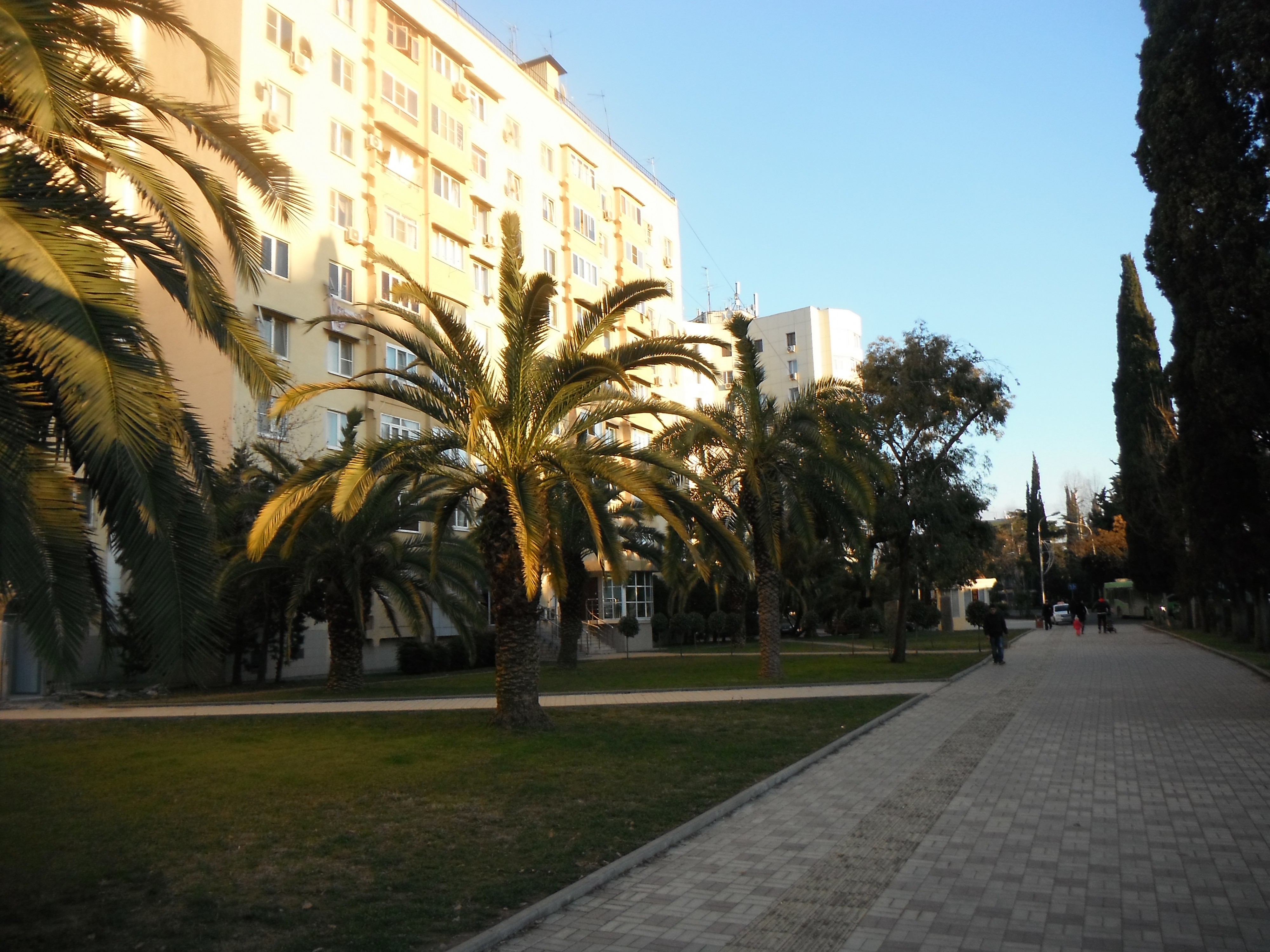 DSCF0092