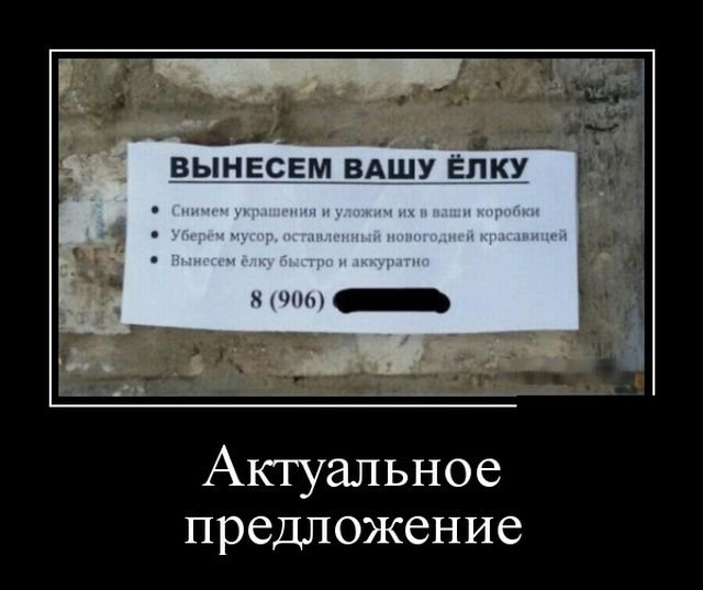 Актуальное предложение