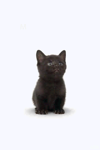 904910