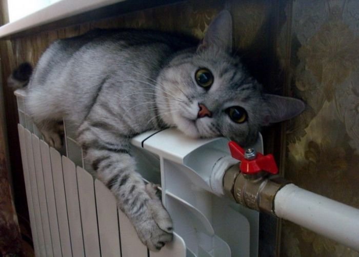 холодно стало