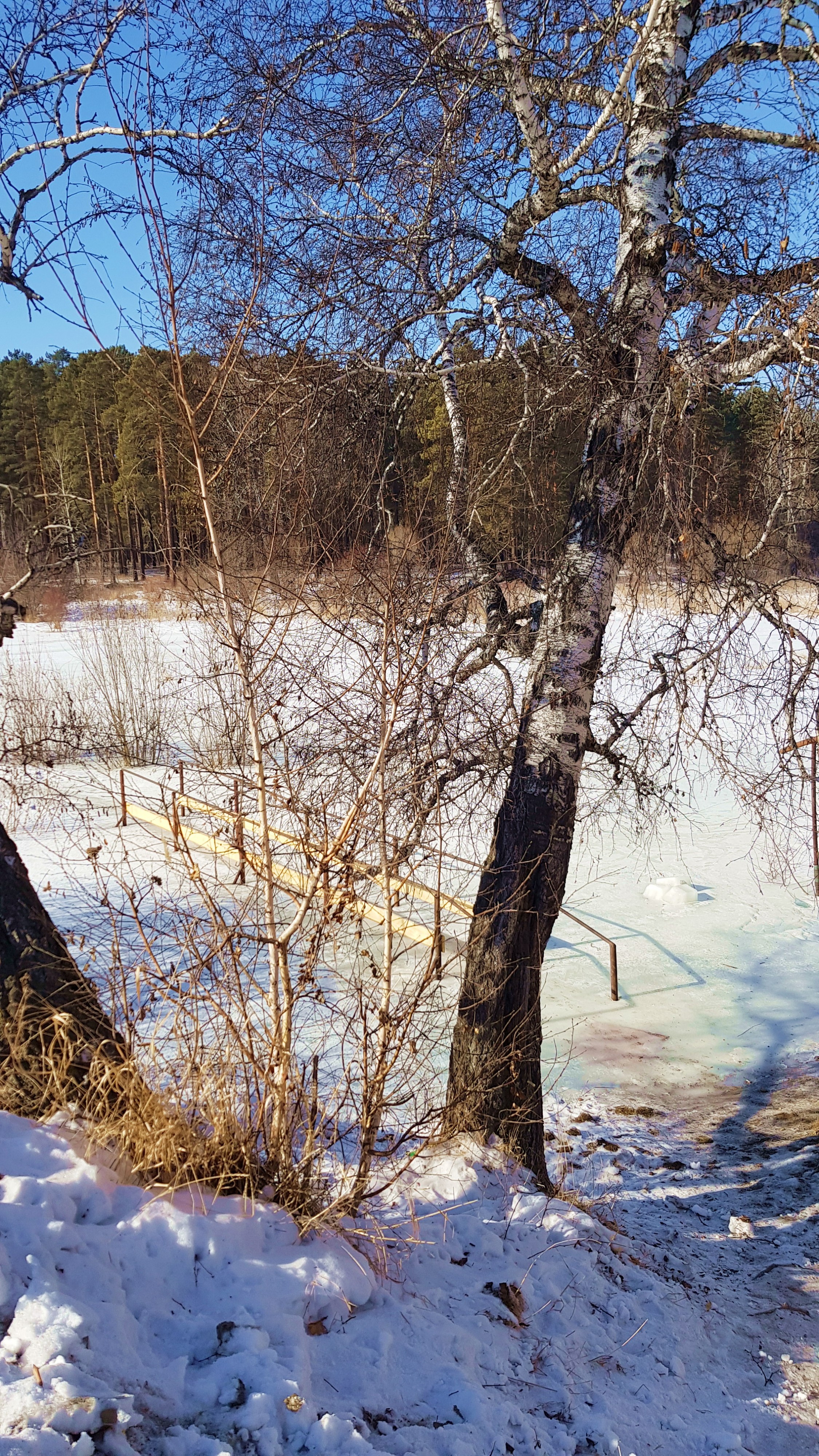 мост водокачечный февральский расцветовский)))))