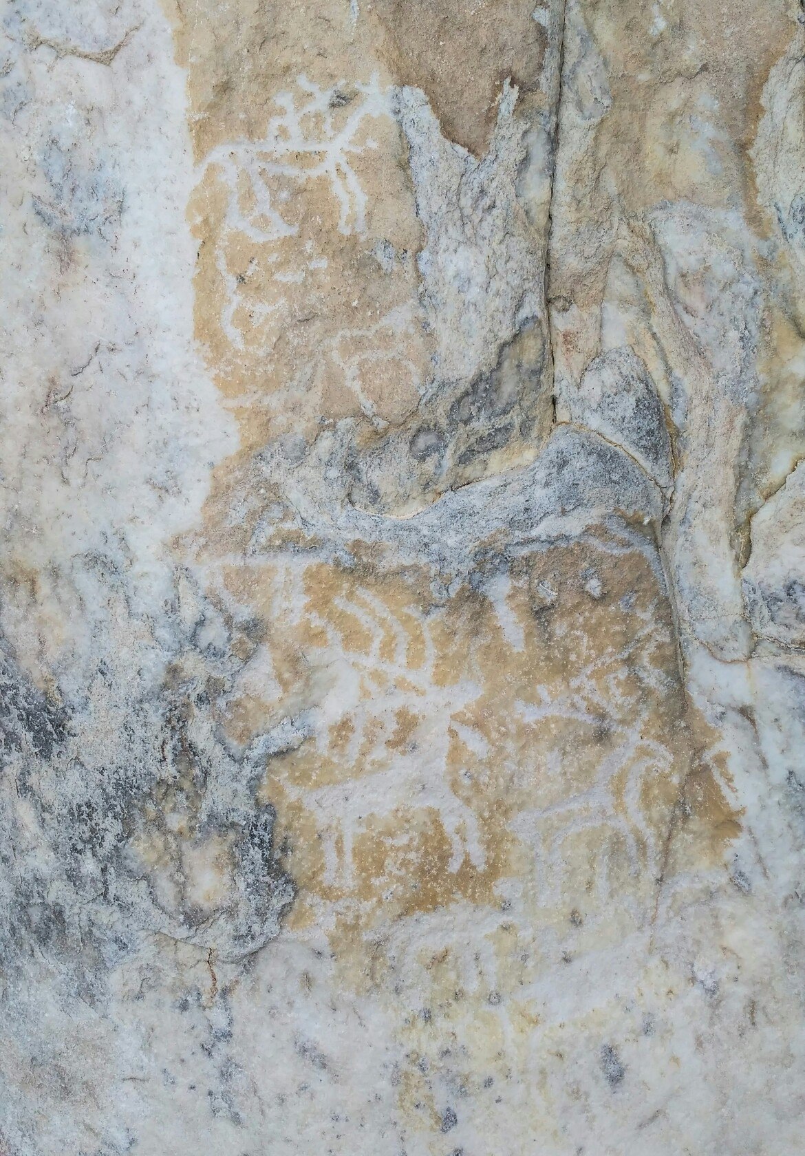 Саган-Заба, охота