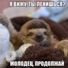 прадалжай)))))) прадалжай))))))