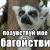 посюсьтвуй майо збагойздвие)))))) посюсьтвуй майо збагойздвие))))))