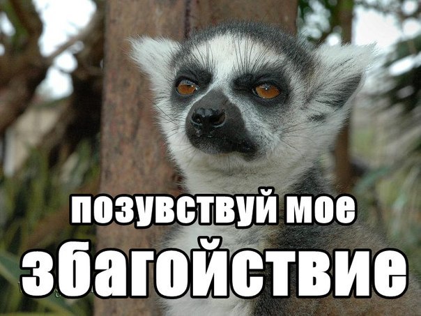 посюсьтвуй майо збагойздвие))))))