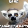 иди на гуй)))) иди на гуй))))