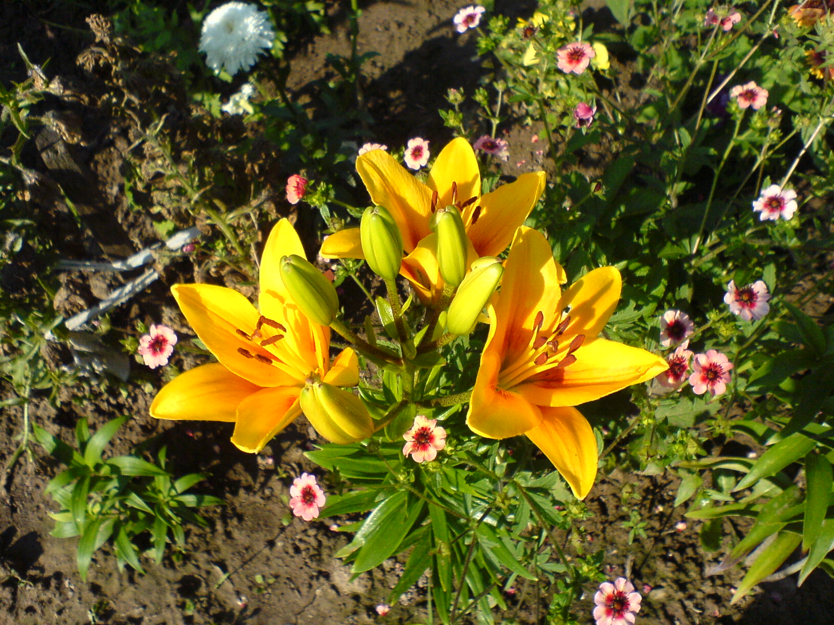 Красотень...