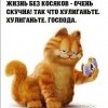 Жизнь без косяков Жизнь без косяков