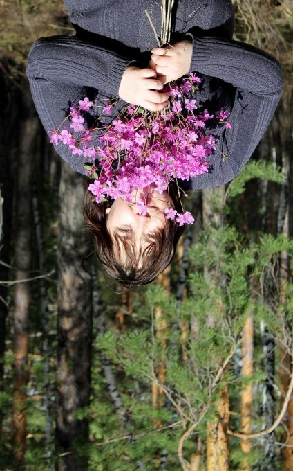 Shipa, накажу!