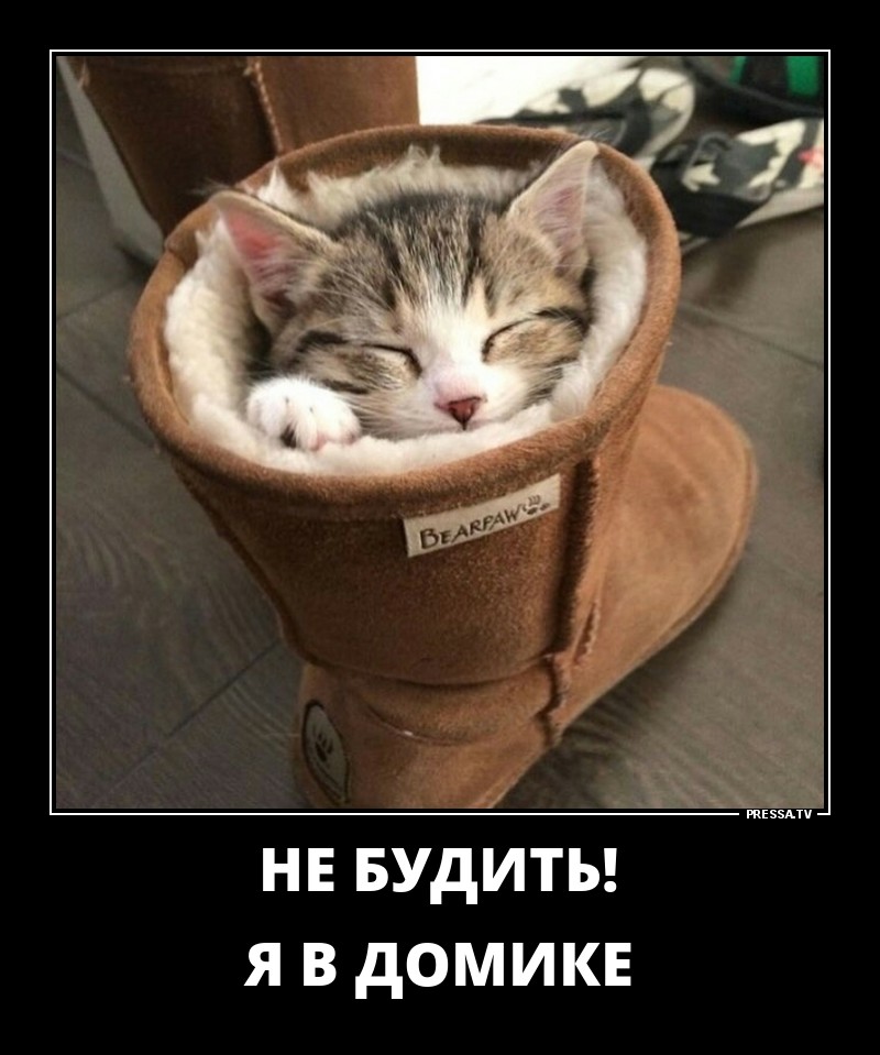 Не будить