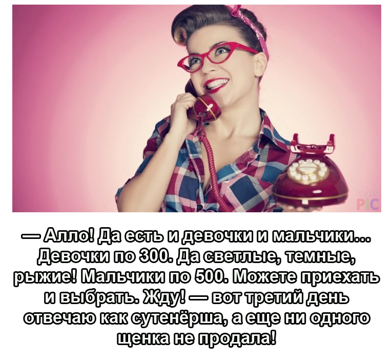 Как сутенерша