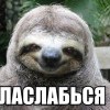 ласслабся прими расслаблин)))))