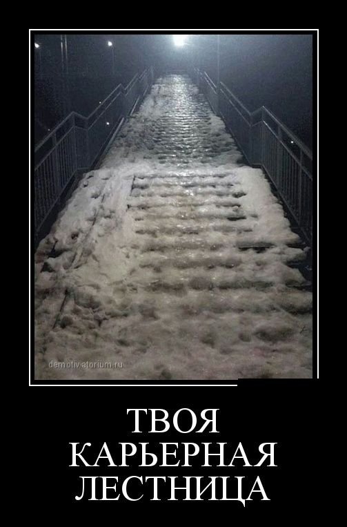 Карьерная лестница