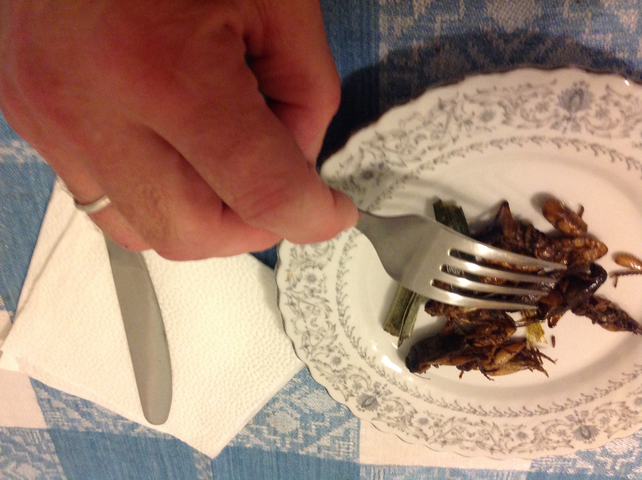 Жаренные кузнечики тайские