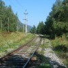 КБЖДшечка) КБЖДшечка)