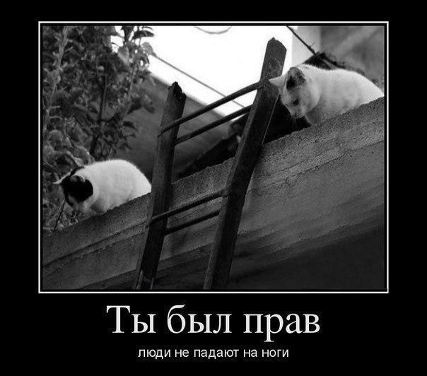Ты был прав...