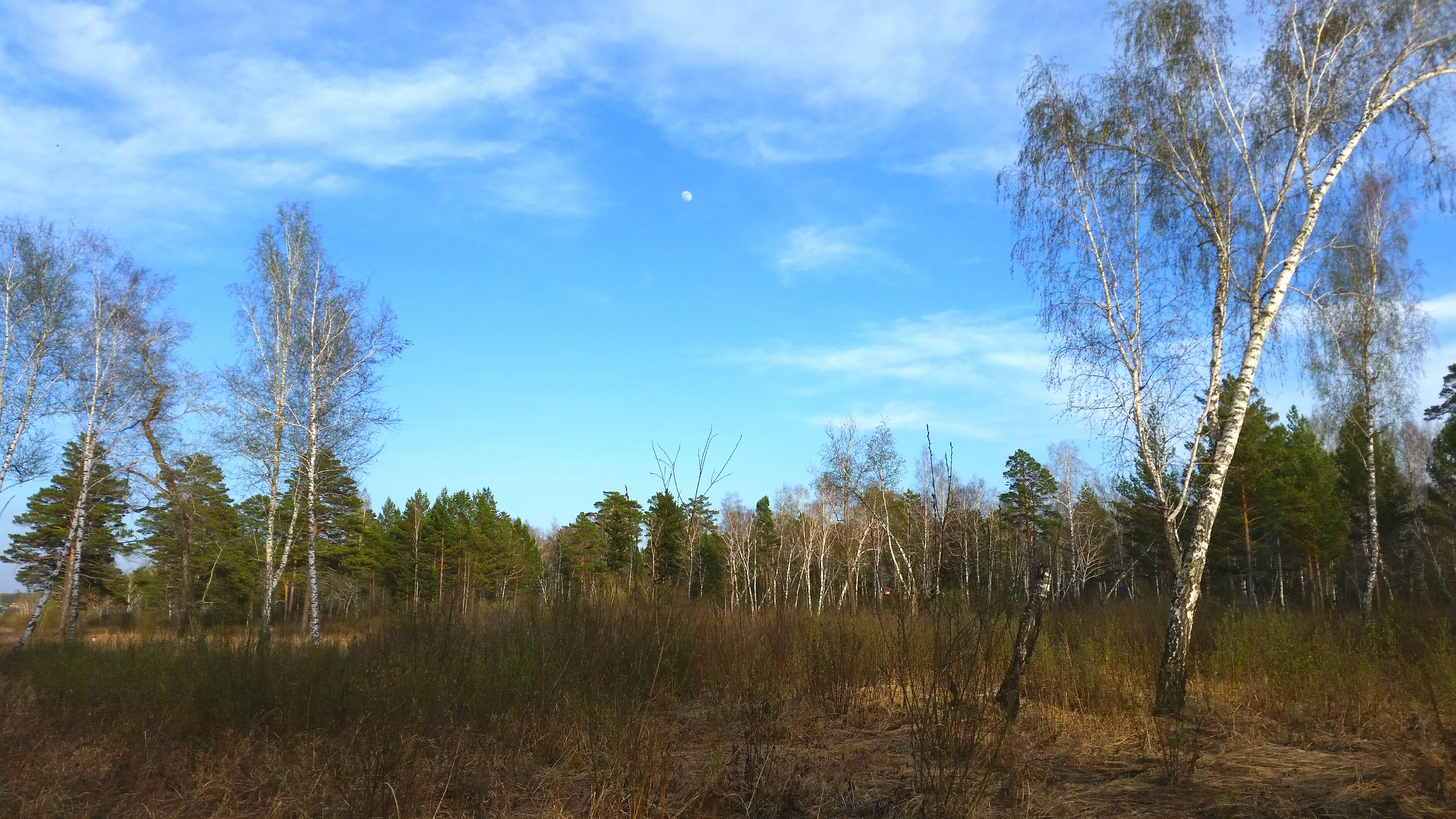 где-то в пойме))))))