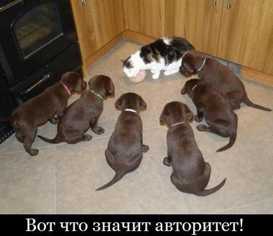 Авторитет