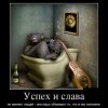 Успех и слава Успех и слава