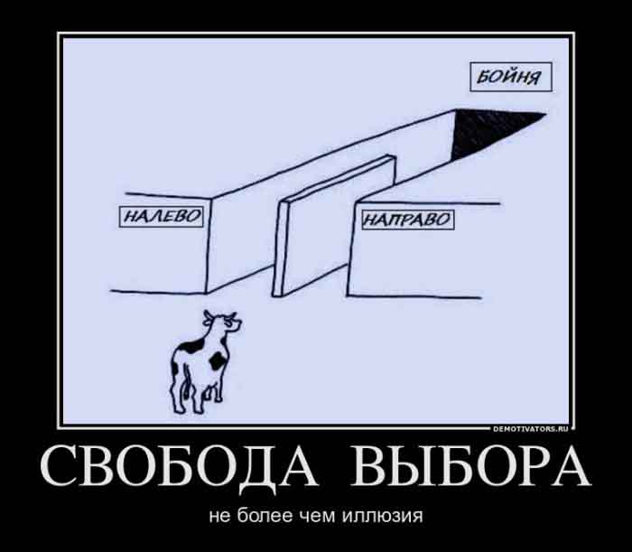 Свобода выбора