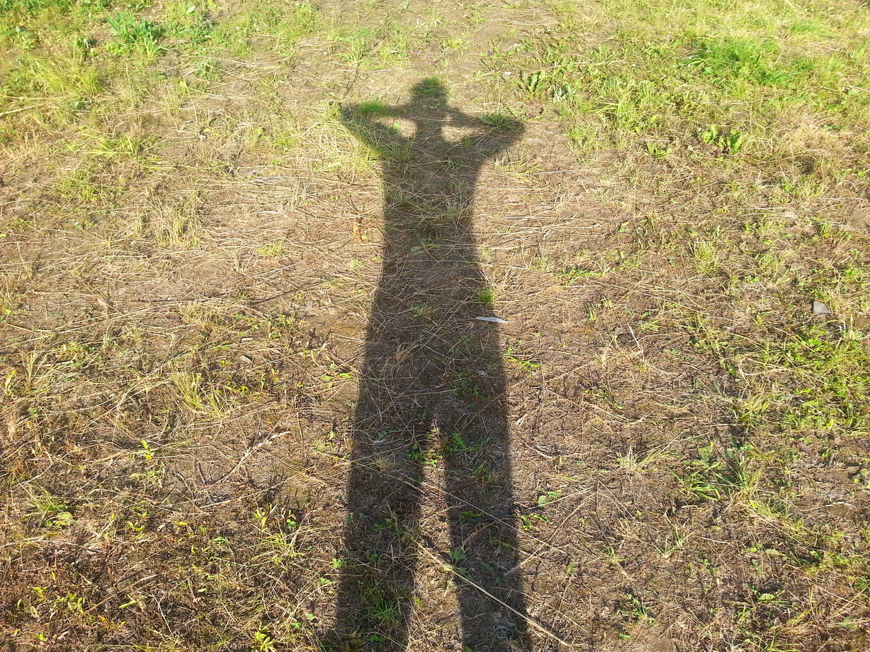 Сирёгина тень травянистоземельная)))))